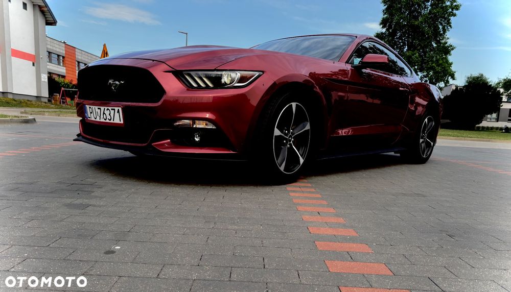 Ford Mustang - 1