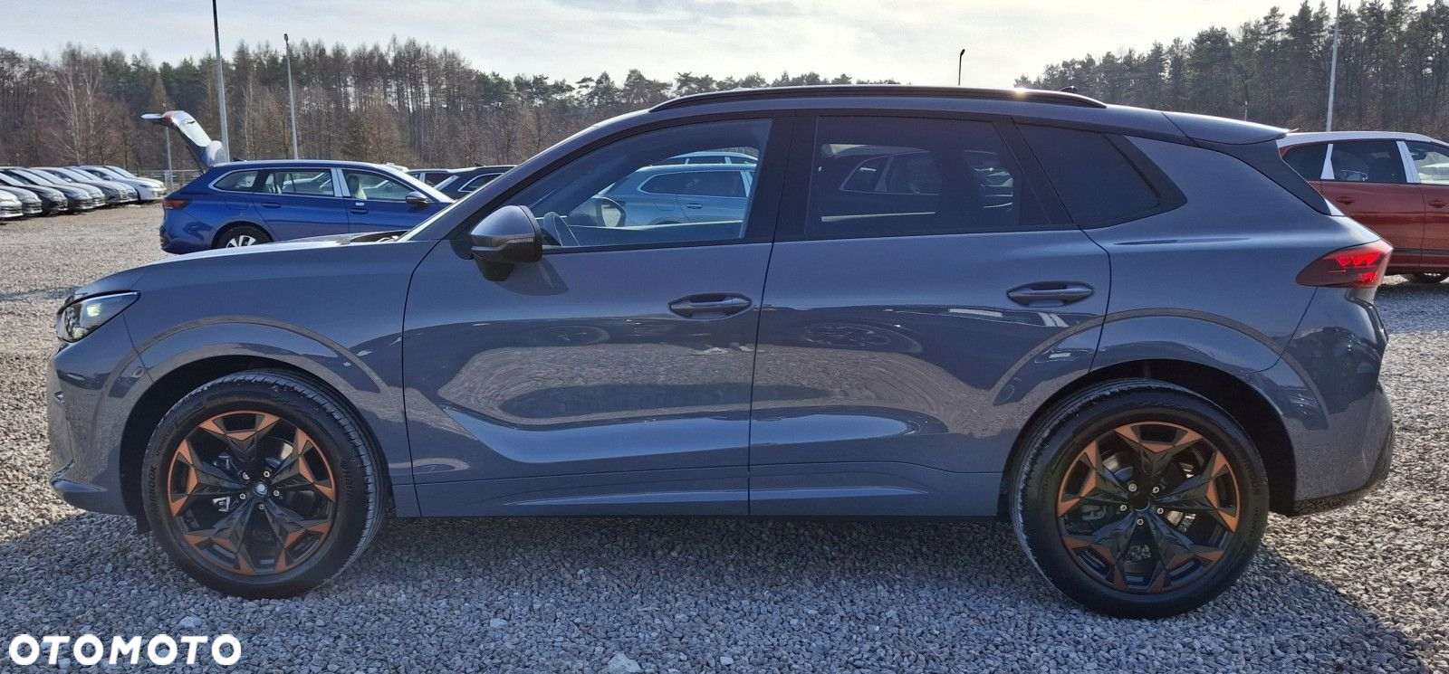 Cupra Terramar - 6
