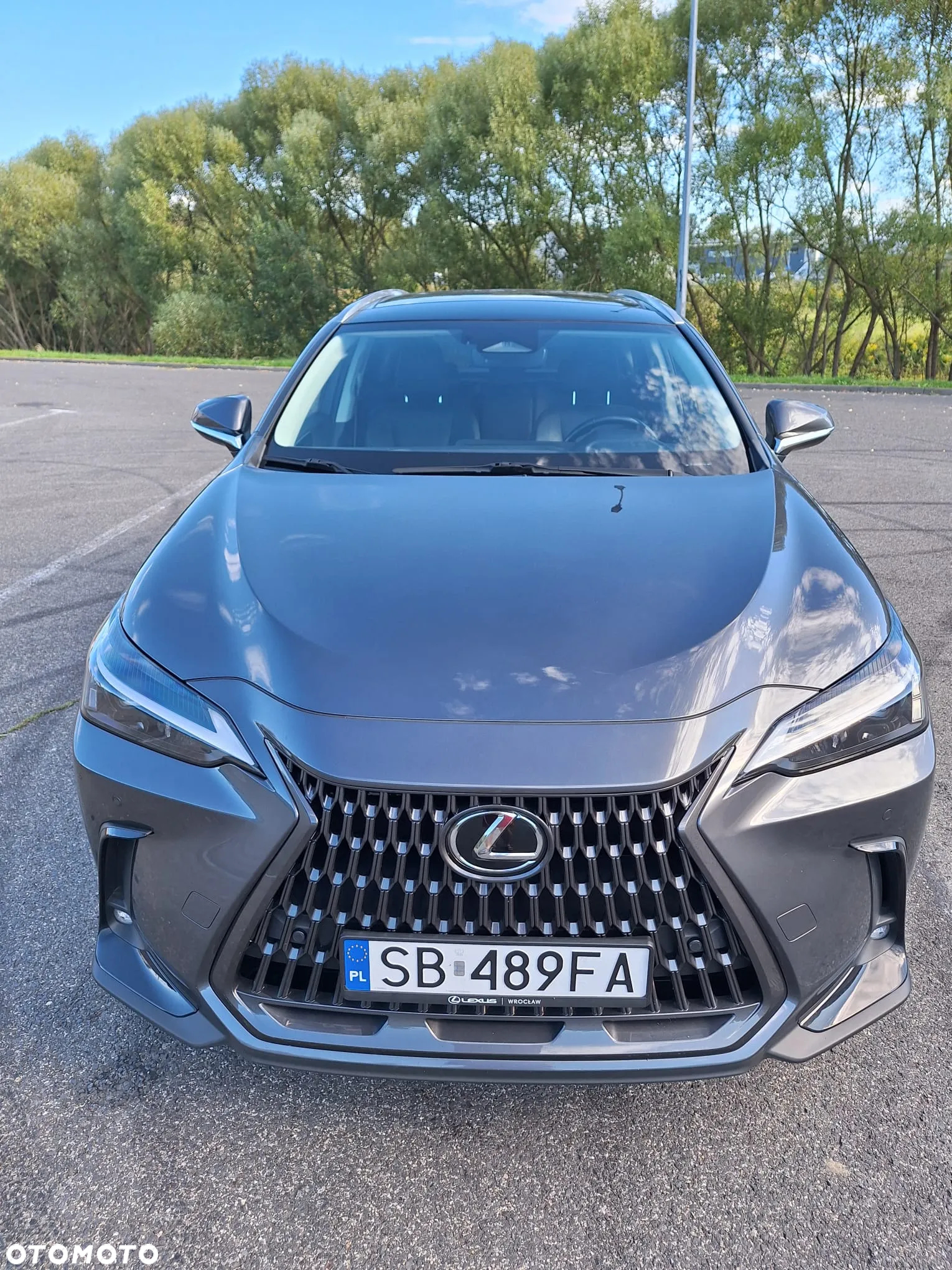 Lexus NX 350h Prestige AWD - 2