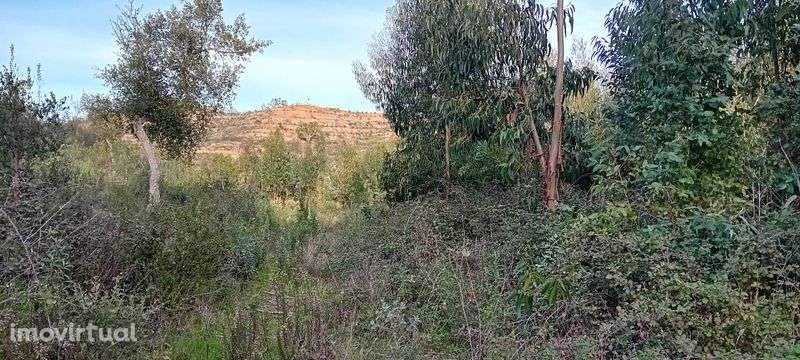 Terreno rustico onde o Algarve toca o Alentejo! - Grande imagem: 4/5