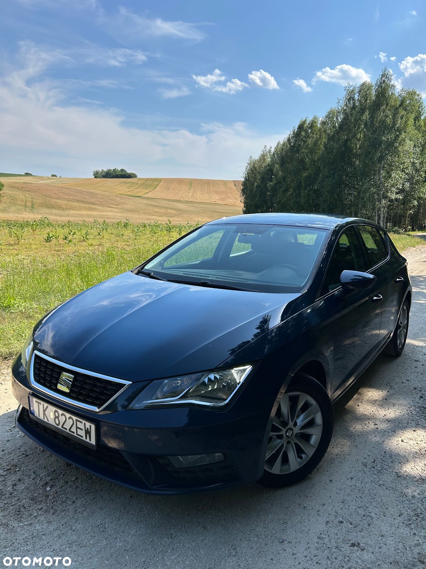 Seat Leon - 1