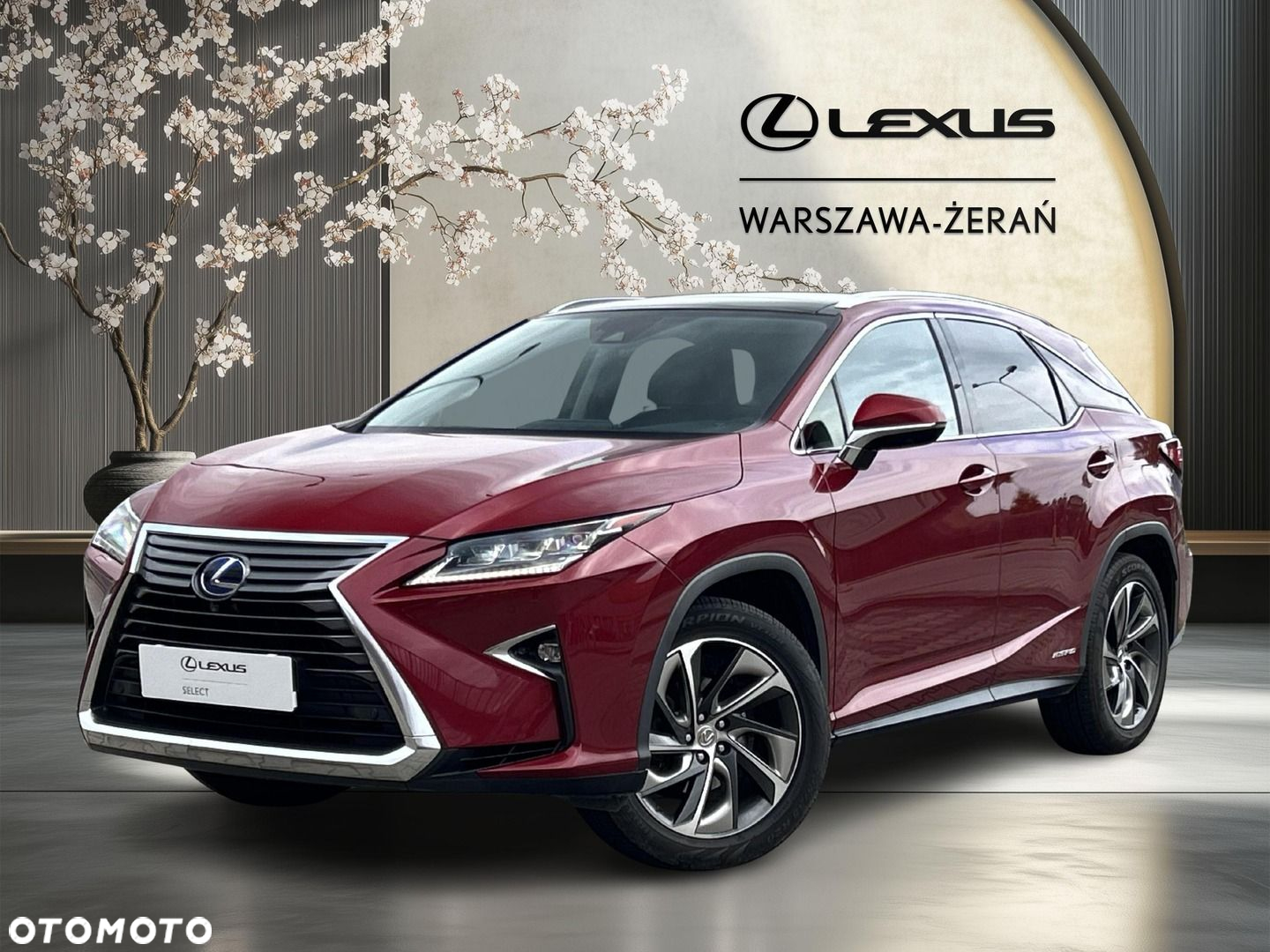 Lexus RX - 2