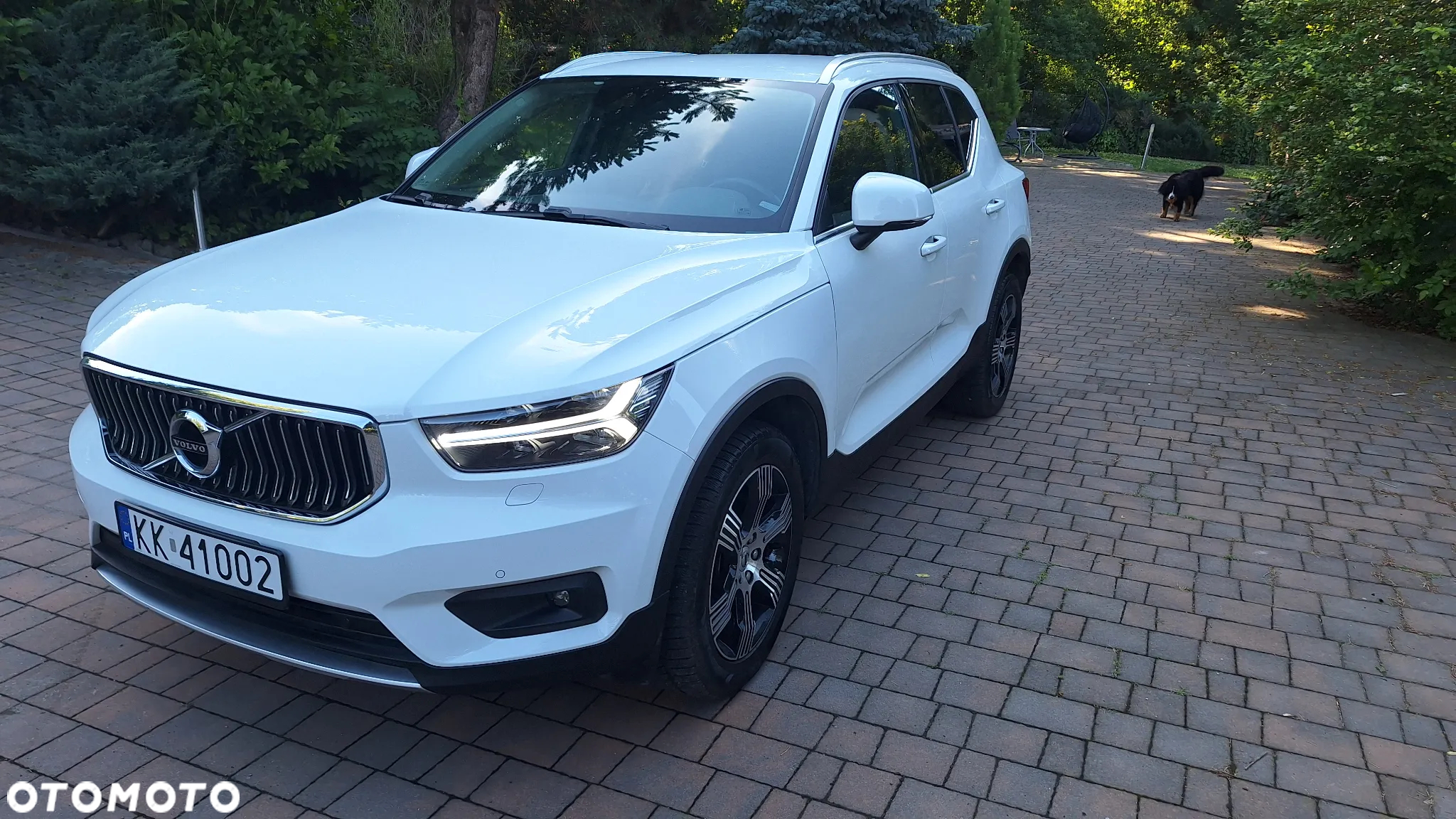 Volvo XC 40 B4 B AWD DKG Inscription - 3