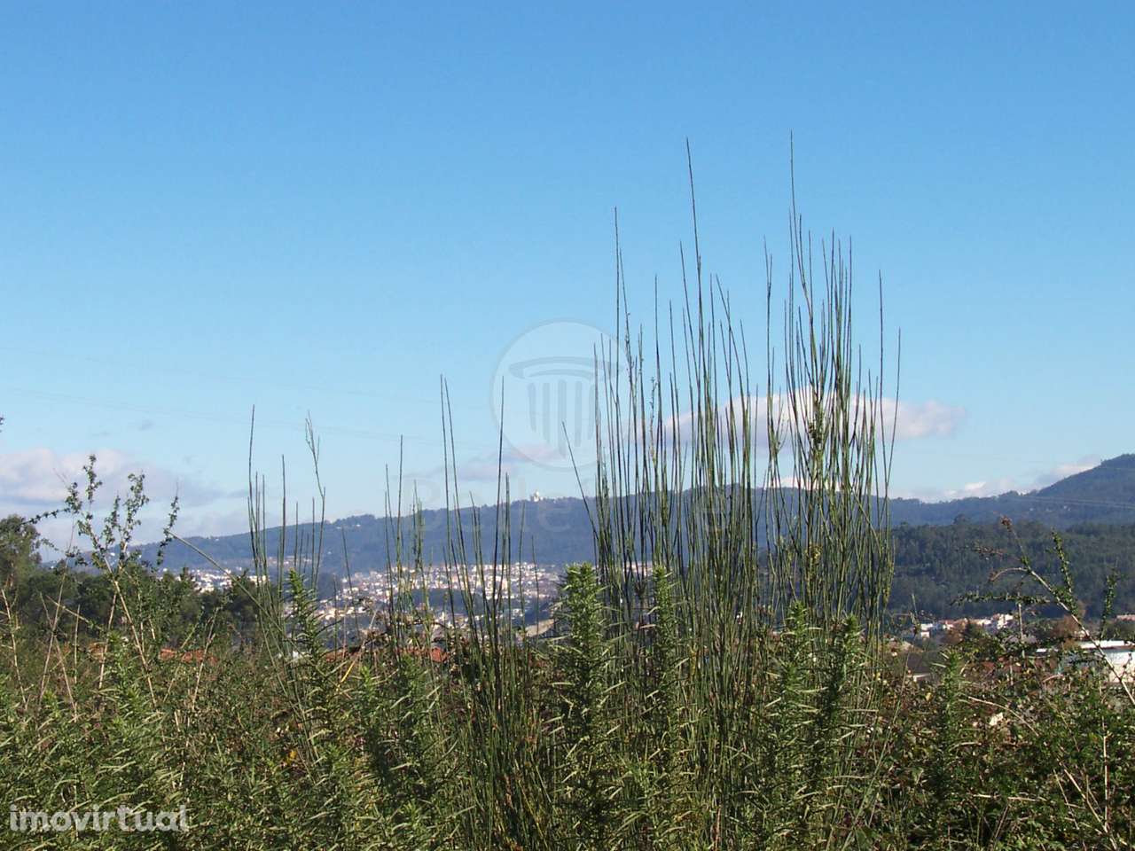 Lotes em Banda, de Gaveto e Individuais em excelente local - Grande imagem: 5/7