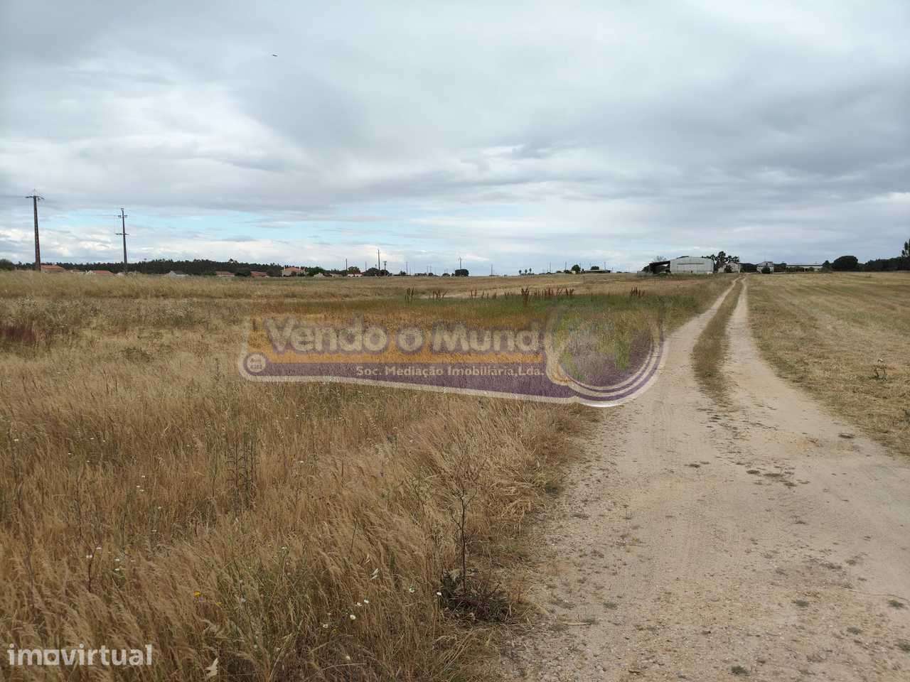Terreno na Barrosa (BARR012) - Grande imagem: 3/9