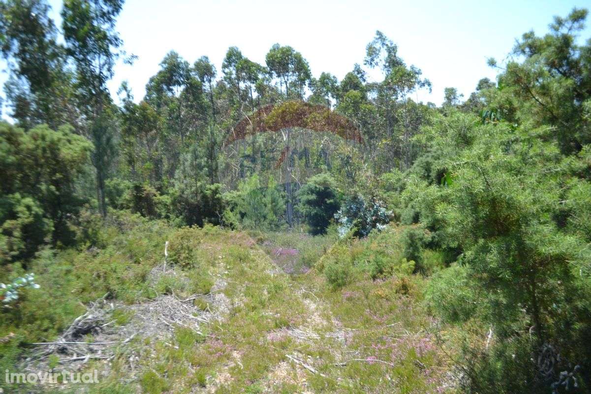 Terreno  para venda - Grande imagem: 2/24