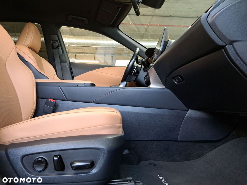 Lexus RX - 13