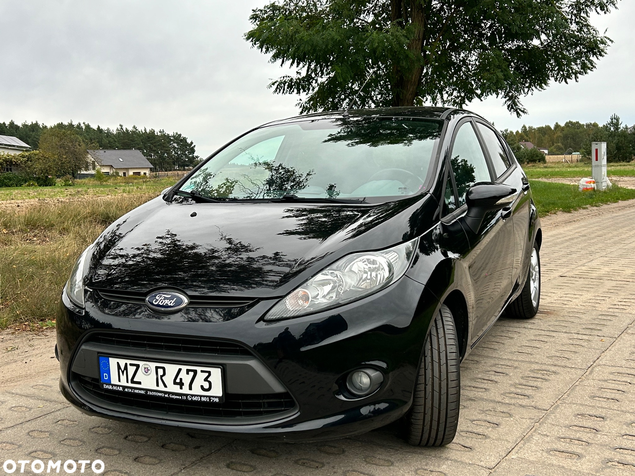 Ford Fiesta 1.25 Platinium X - 11