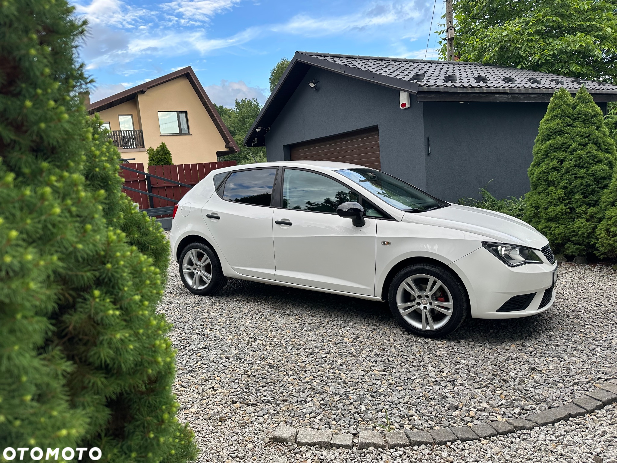 Seat Ibiza - 18