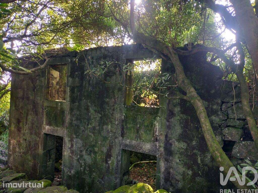 Casa T3 em São João de 212,00 m2 - Grande imagem: 4/27