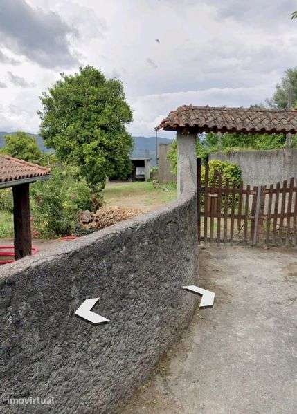 Quinta com 20 000 M2 em Santa Marinha - Ribeira Pena - Grande imagem: 2/12