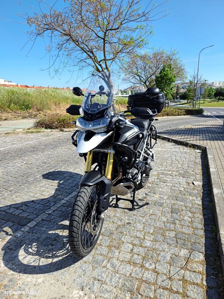 Triumph Tiger Rally Pro - 1