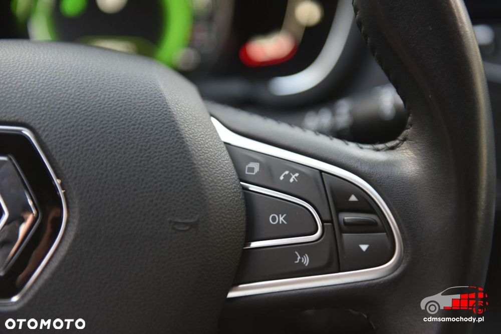 Renault Scenic - 33