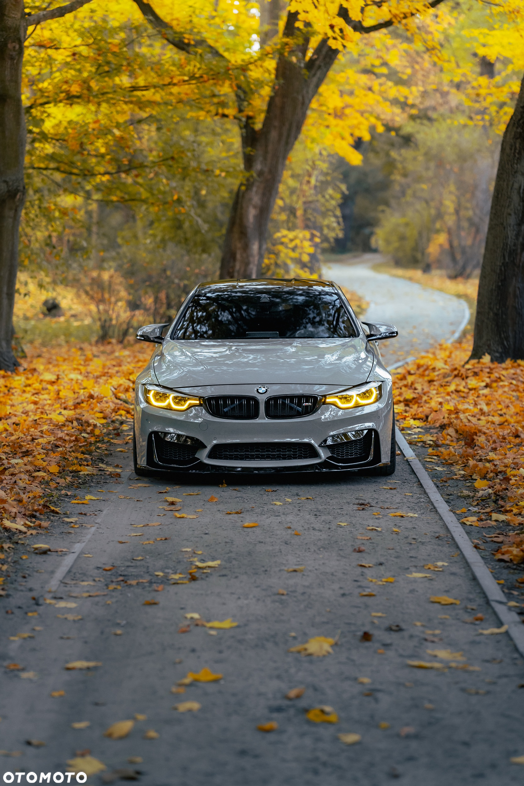 BMW M4 Competition GPF DKG - 15