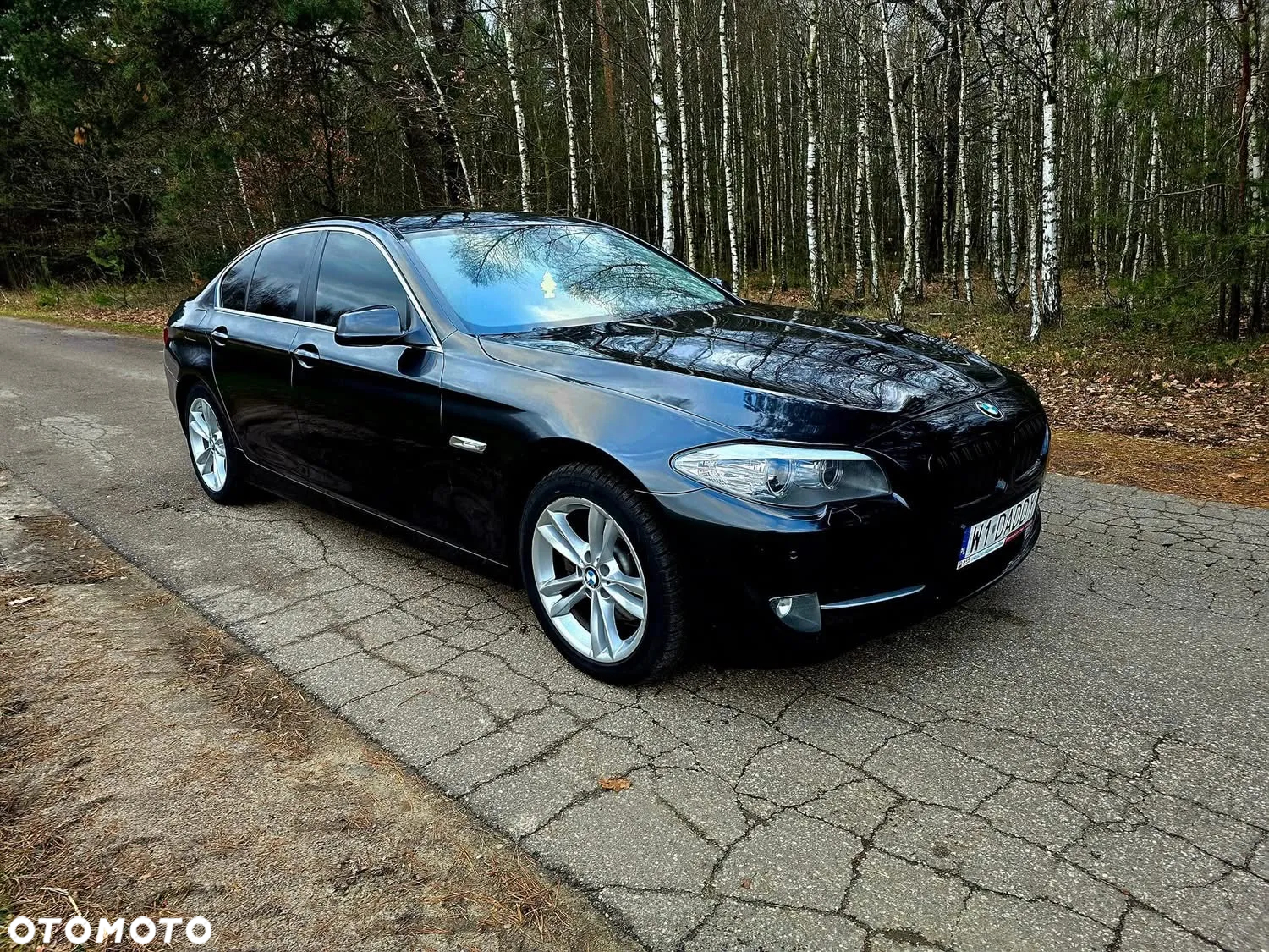 BMW Seria 5 - 14