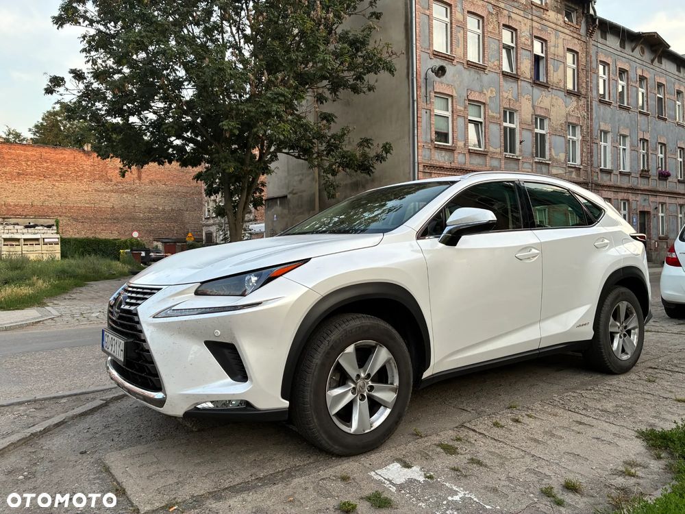 Lexus NX 300 Business Edition AWD - 21
