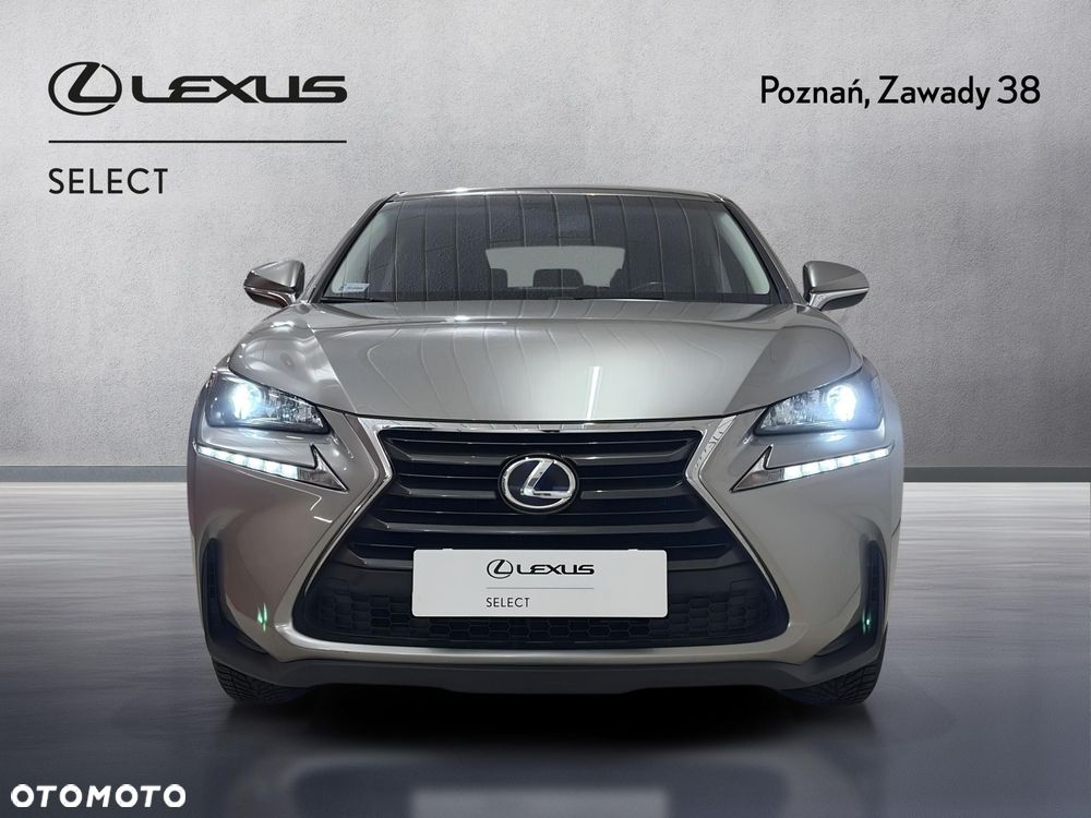Lexus NX 300h Elegance 2WD - 6