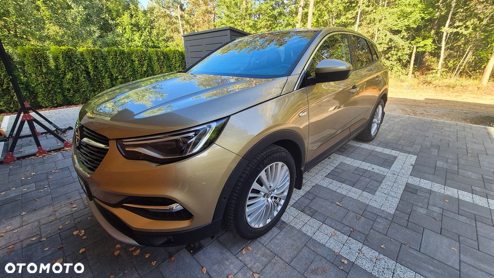 Opel Grandland X - 1