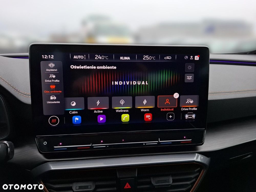 Cupra Formentor - 25