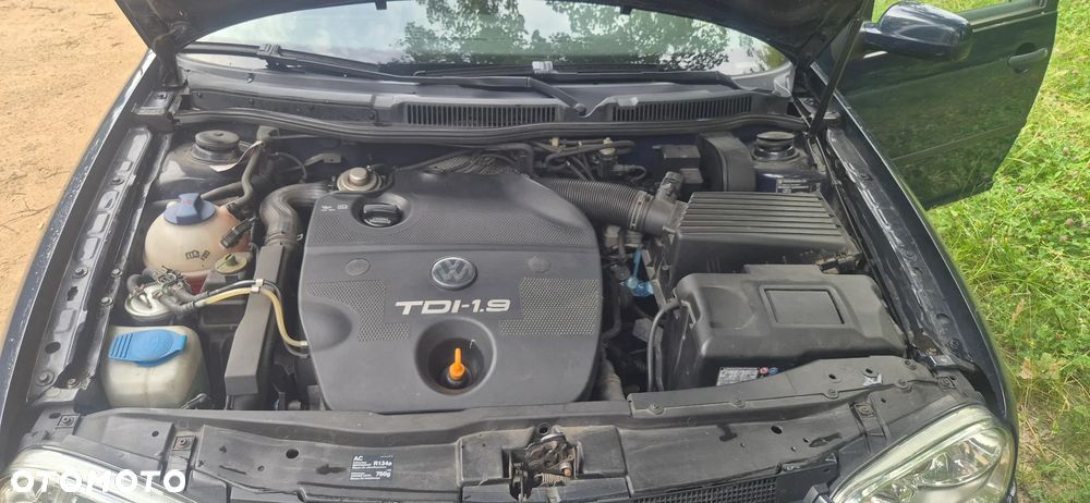 Volkswagen Golf - 23