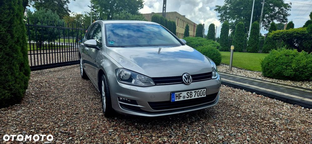 Volkswagen Golf - 25