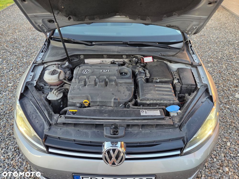 Volkswagen Golf - 13