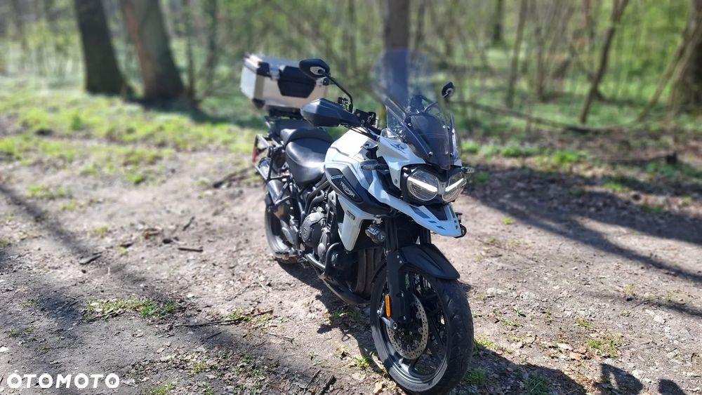 Triumph Tiger - 10