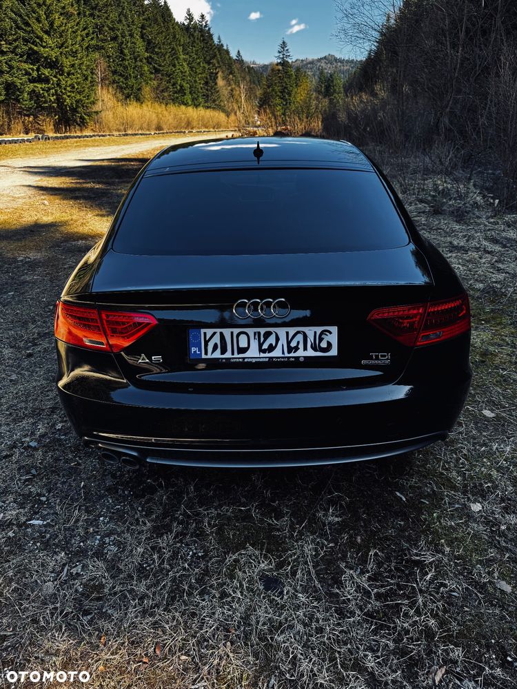 Audi A5 Sportback 2.0 TDI (clean diesel) quat DPF S tro - 7