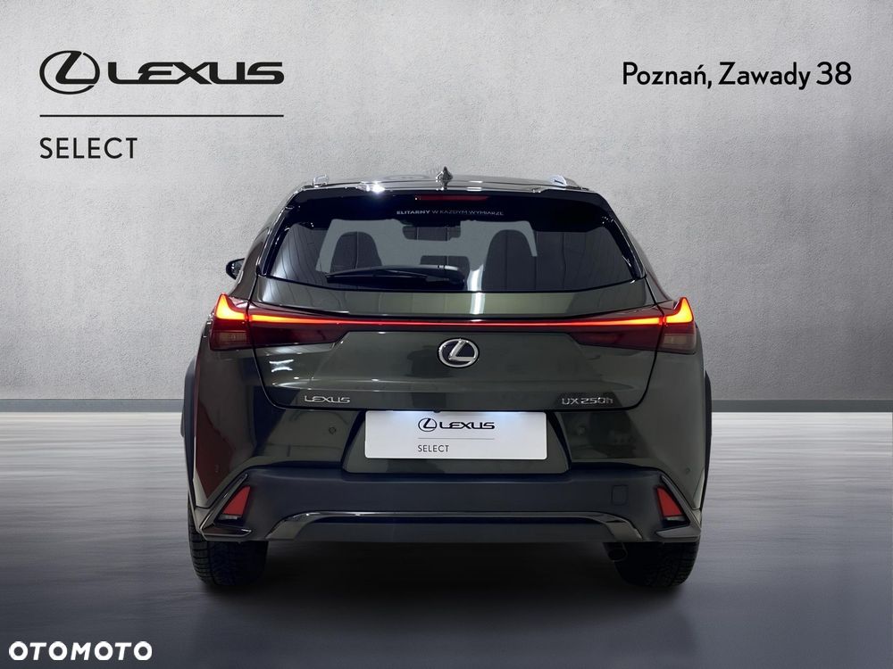 Lexus UX 250h GPF F Sport Design 2WD - 7