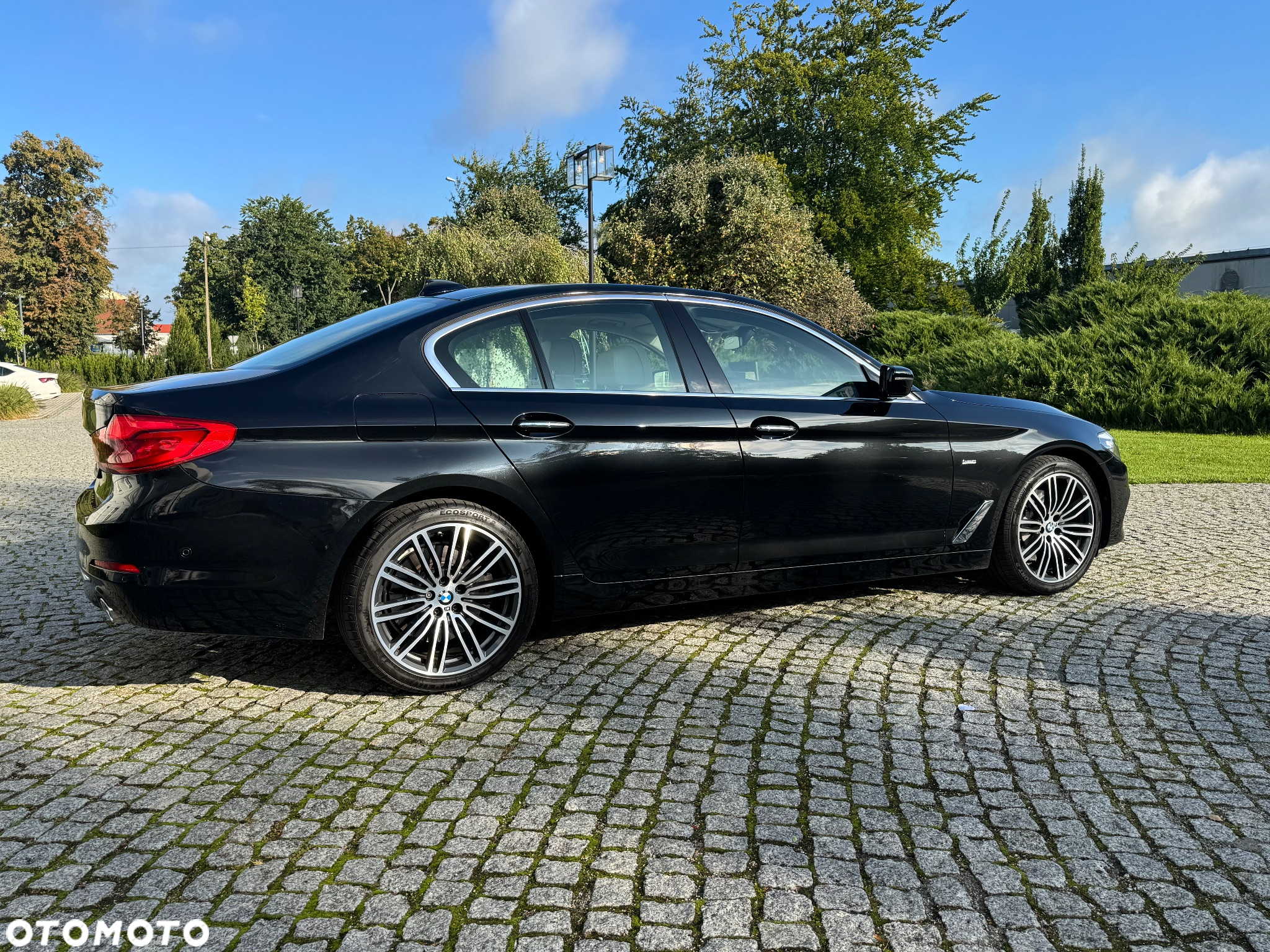 BMW Seria 5 530d Luxury Line sport - 9