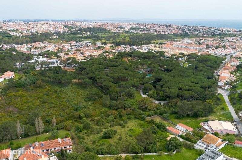 Vendo Terreno em Cascais para Condomínio de Moradias - Grande imagem: 5/12