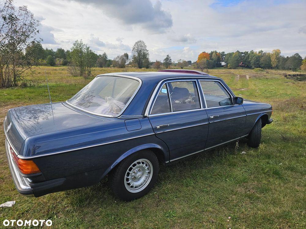 Mercedes-Benz W123 - 6