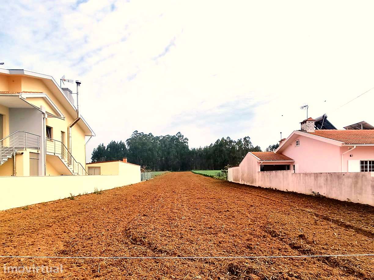Terreno 4.674m² Guilhovai – Moradia • Nature Retreat • Animal Wellness - Grande imagem: 2/7