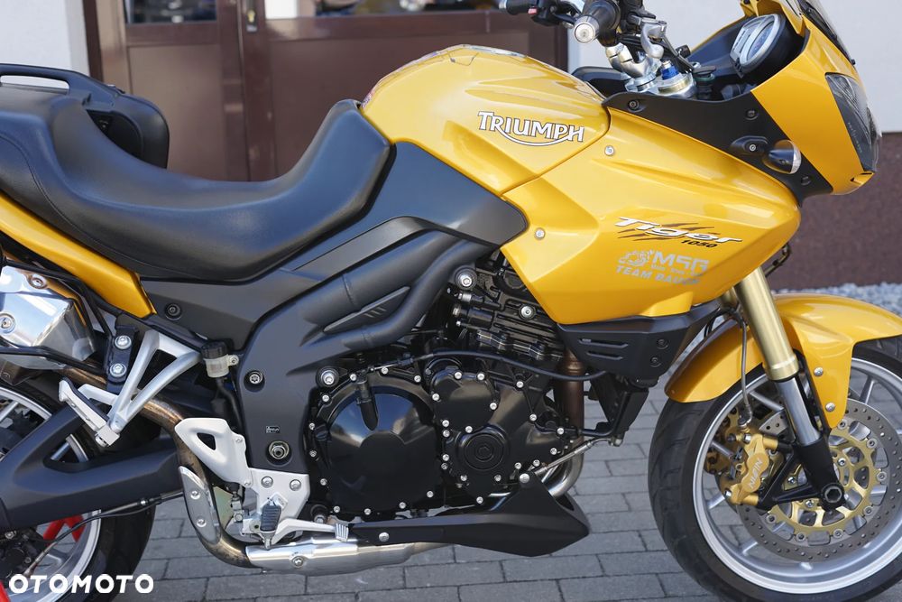 Triumph Tiger - 10