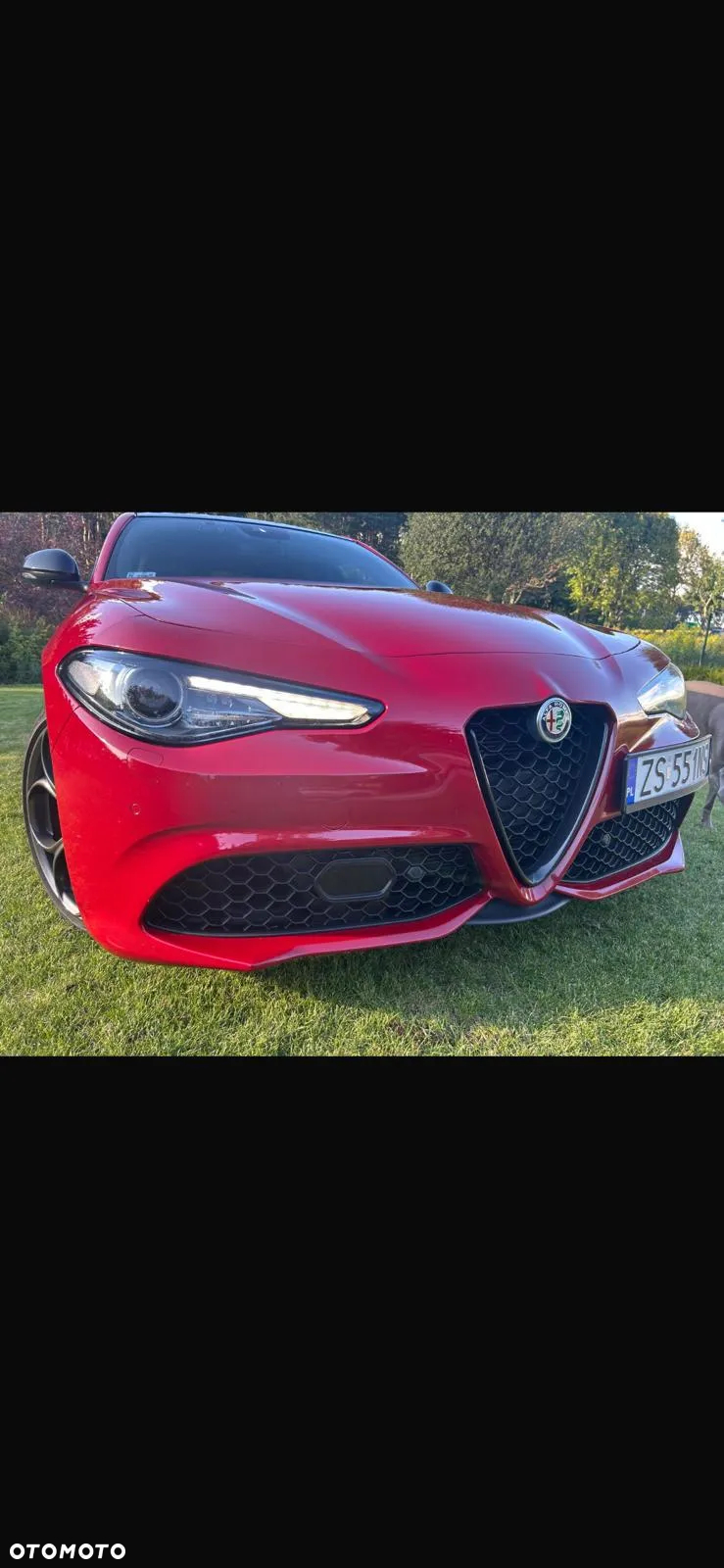 Alfa Romeo Giulia 2.0 Turbo Veloce TI Q4 - 8