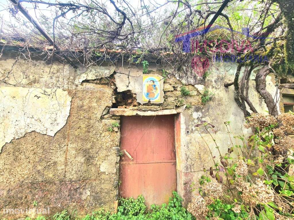 Casa rural com 2 ruinas em pedra e 3000 m2 de terreno com poço - Grande imagem: 2/19