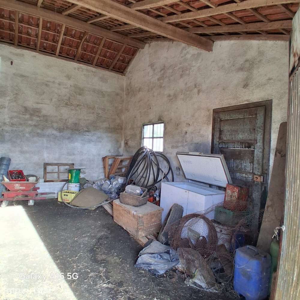Garagem com Terraço e Quintal - Cepos (Arganil) - Grande imagem: 5/14
