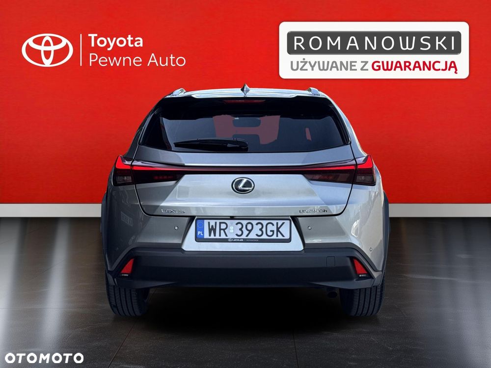 Lexus UX 250h GPF Business 2WD - 7