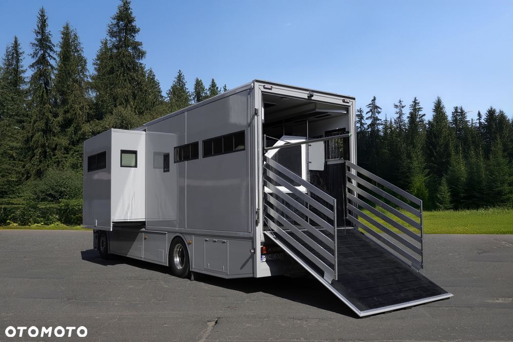 Renault T , Koniowóz 4 konie , zabudowa 2025 - gwarancja - 5