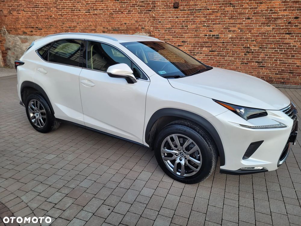 Lexus NX 300 Business Edition AWD - 8