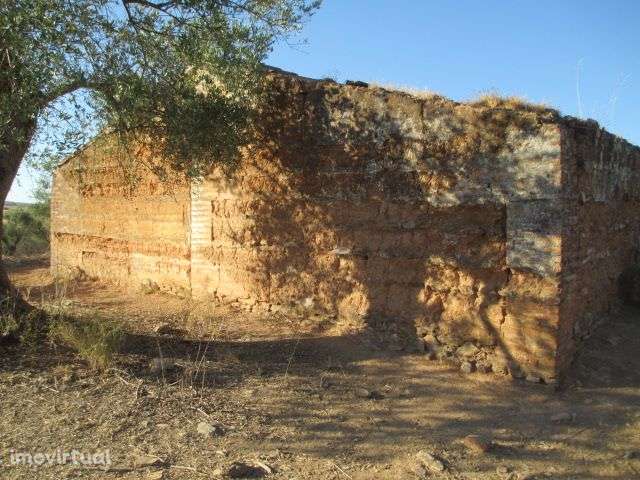 Terreno com Ruína - NOVO PREÇO!! - Grande imagem: 2/15