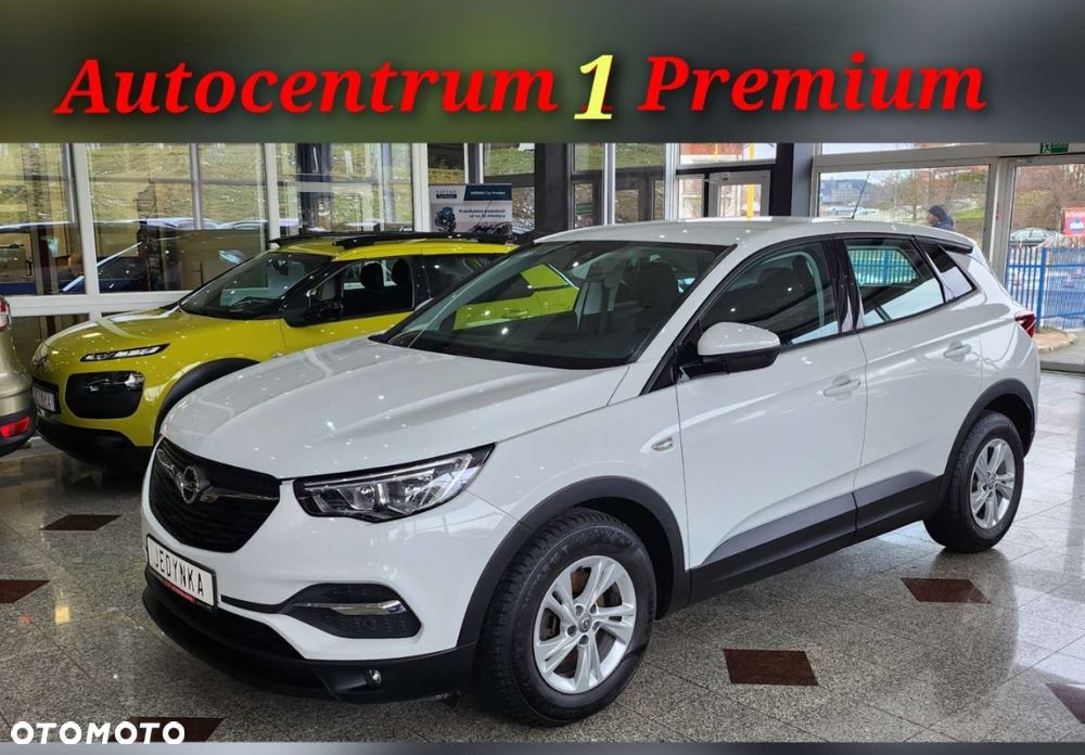 Opel Grandland X - 1