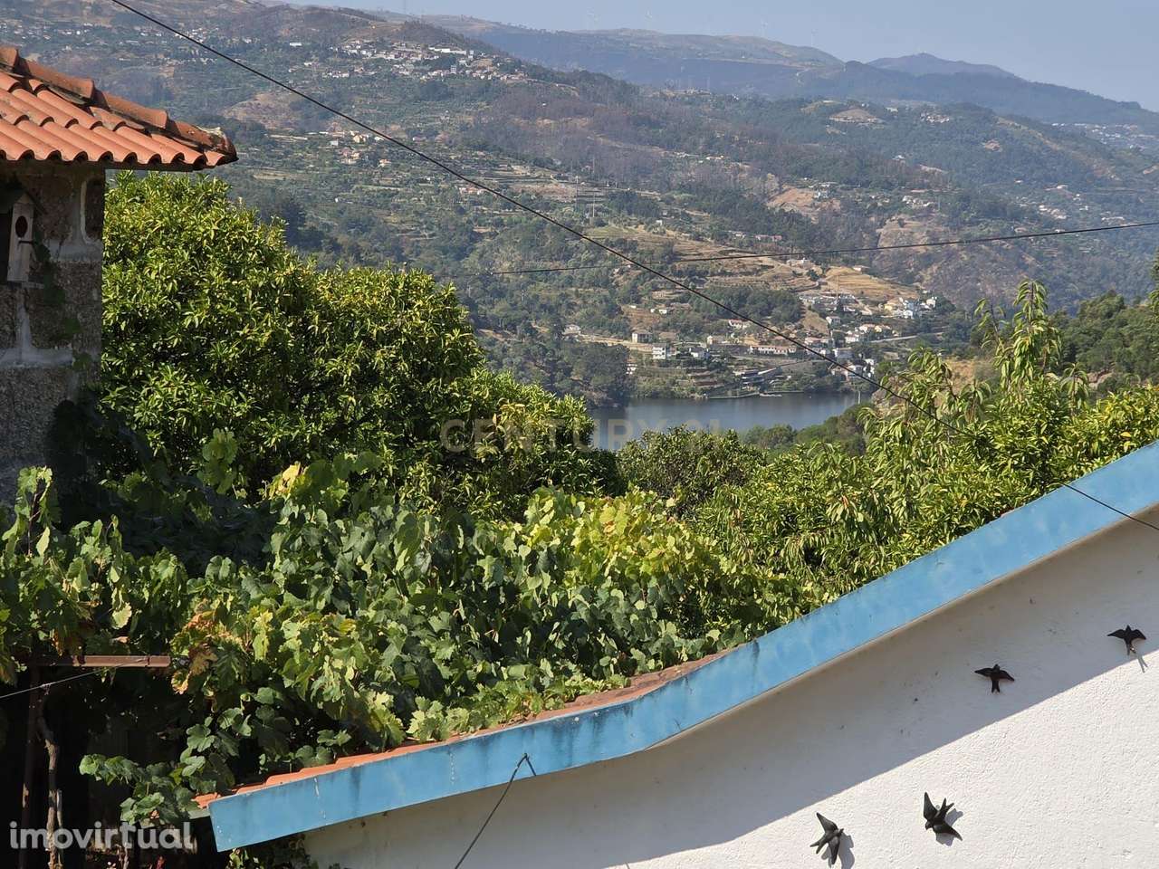 Quintinha - São Tomé de Covelas, Baião - Grande imagem: 3/44
