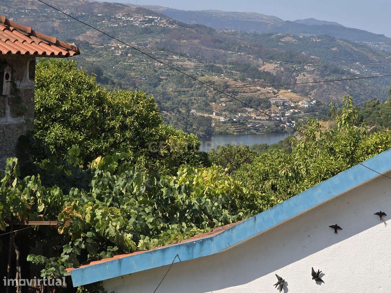 Quintinha - São Tomé de Covelas, Baião - Grande imagem: 3/44