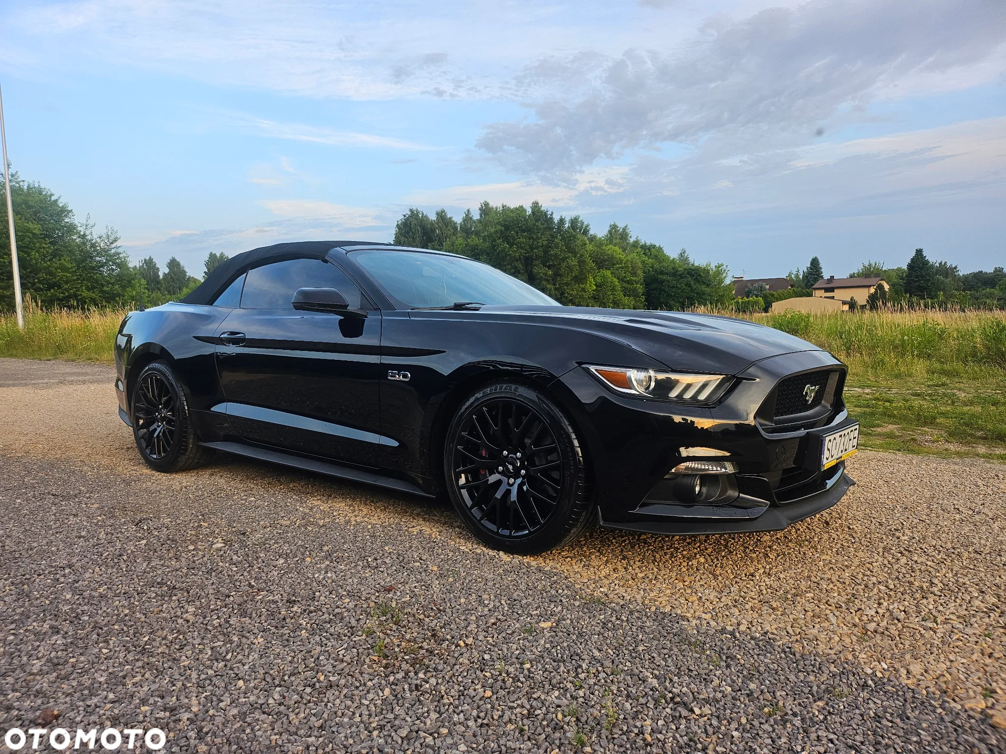 Ford Mustang - 8