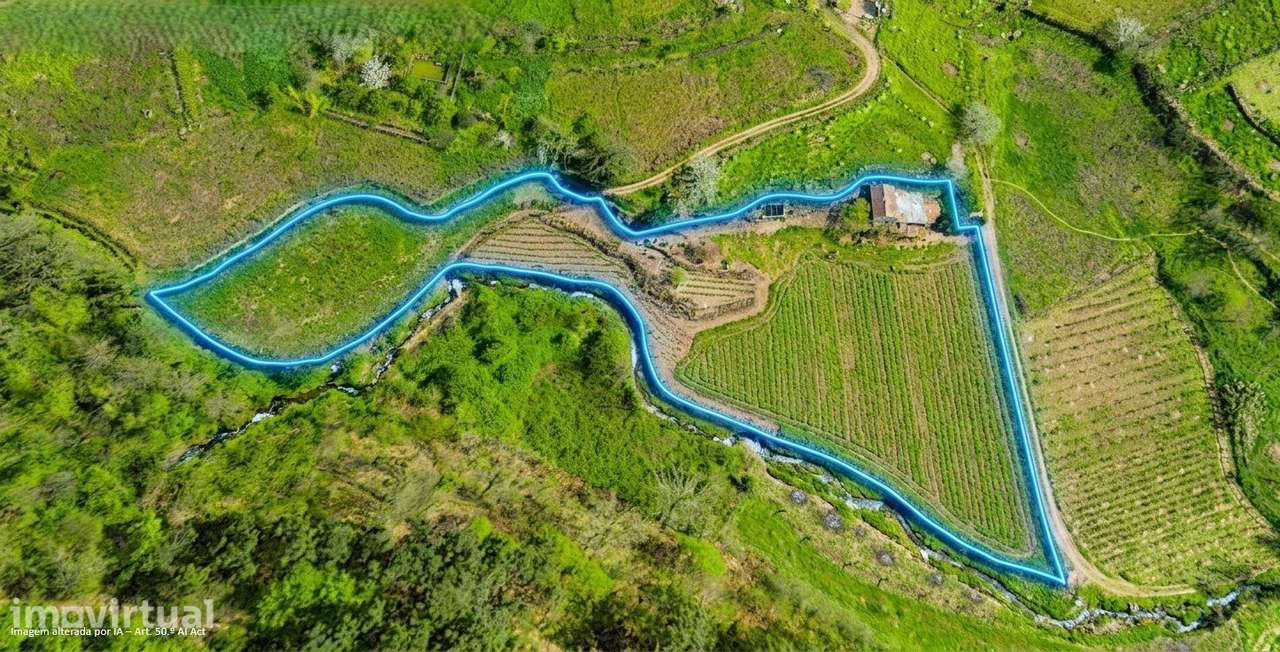 TERRENO RÚSTICO4.000m2 para "Off-Grid" junto á Ribeira do Zêzere Baião - Grande imagem: 2/28