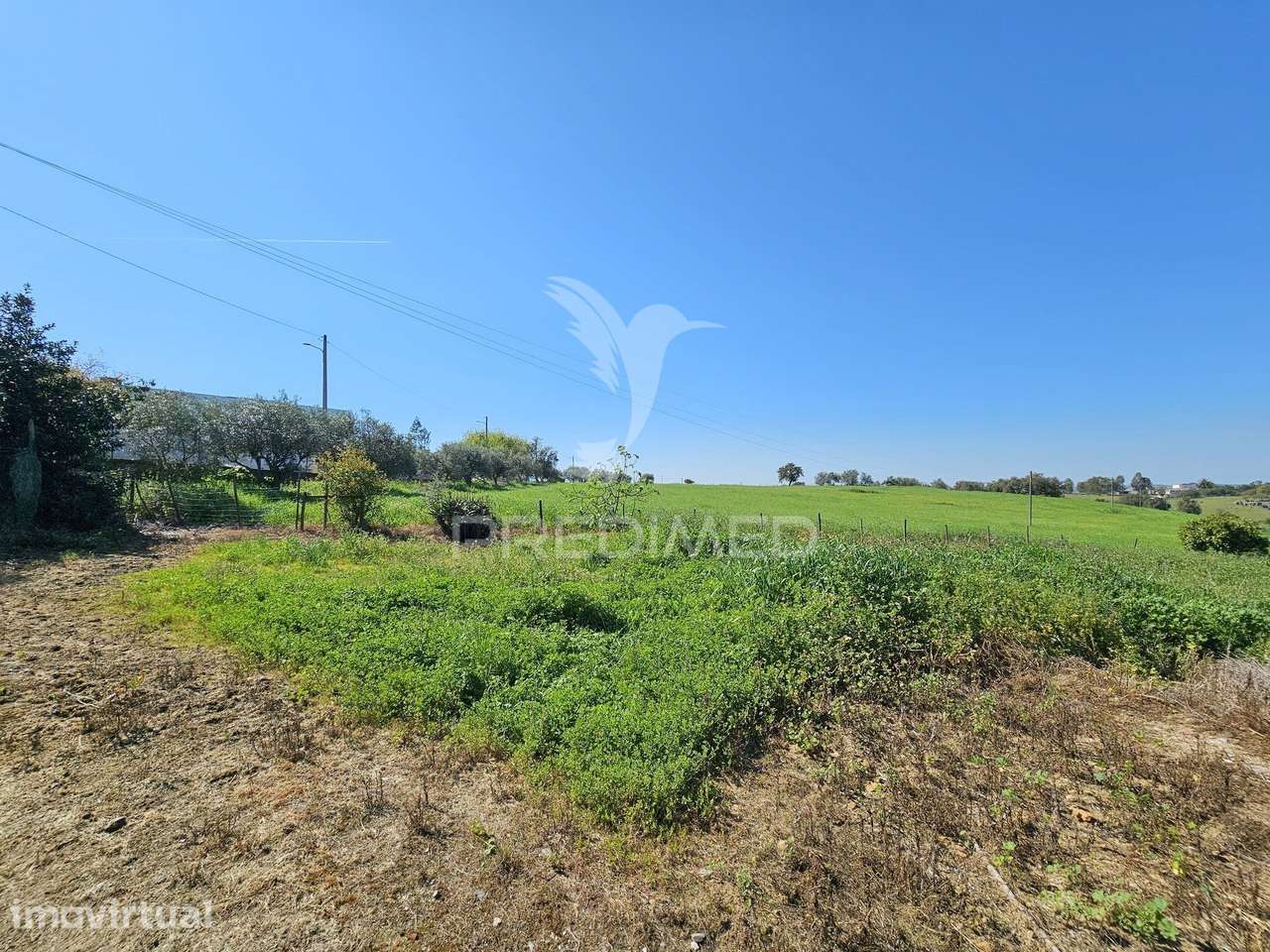 Terreno Rústico com 1,88 hectares em Casével, Castro Verde - Grande imagem: 4/21