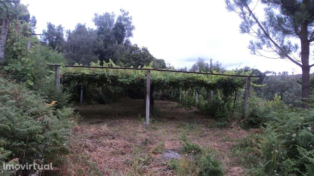 Quintinha com moradia em ruínas com 3.000m2 de terreno. - Grande imagem: 4/13