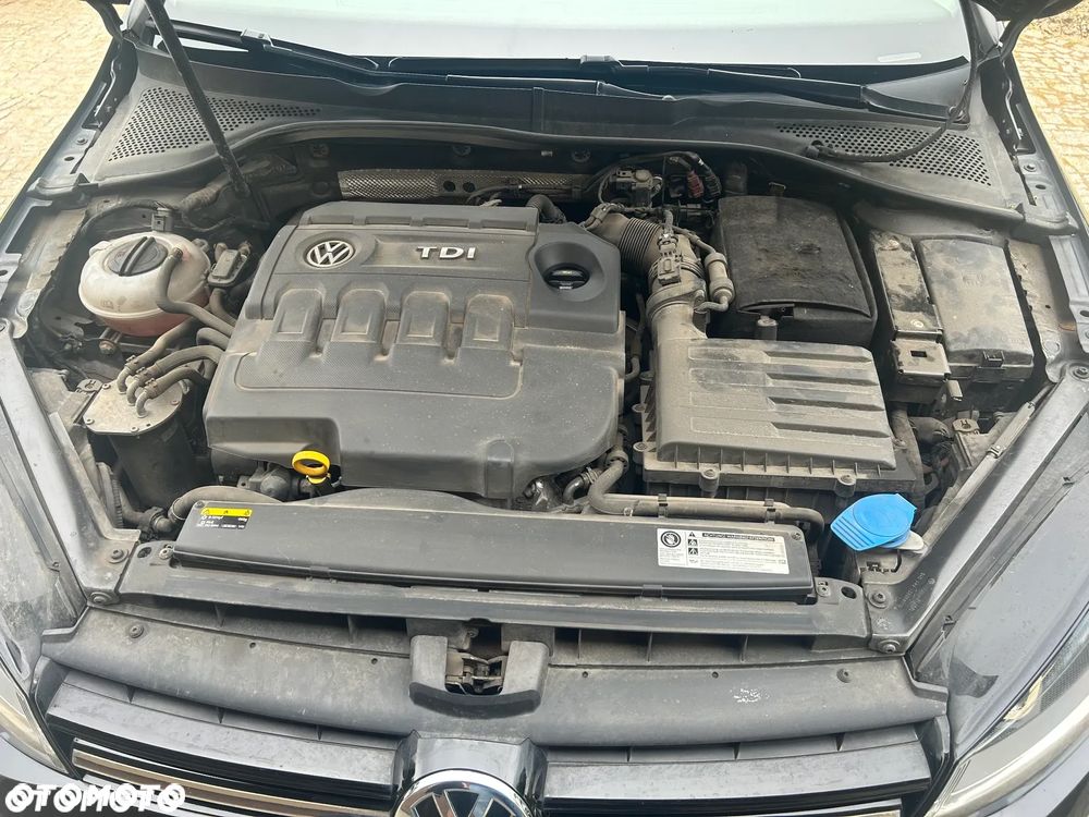 Volkswagen Golf 1.6 TDI BlueMotion Trendline - 19