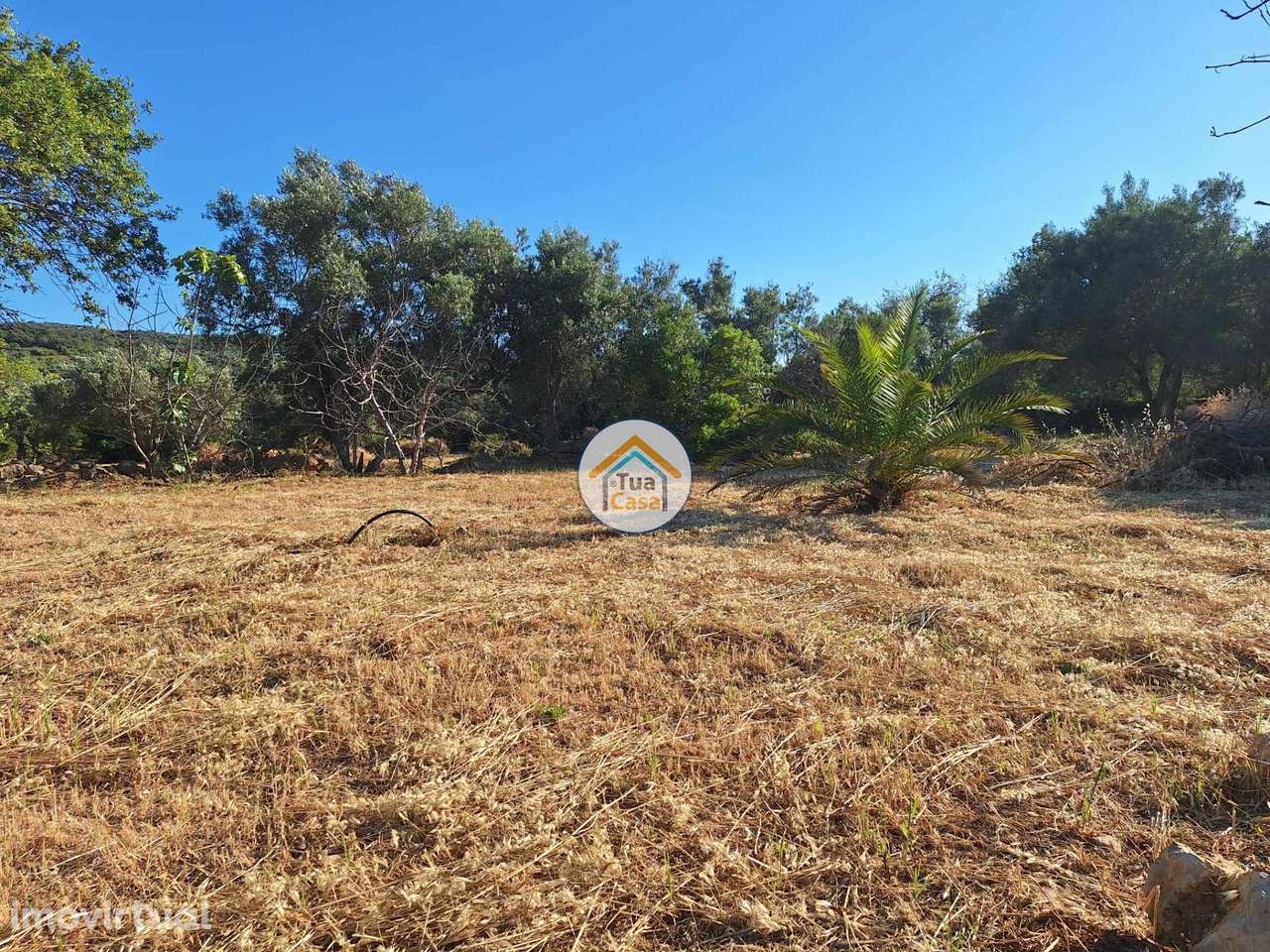 Terreno Rústico com Viabilidade de Construção de Duas Moradias na Gold - Grande imagem: 5/19